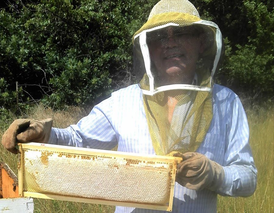 A Bee-utiful Ministry