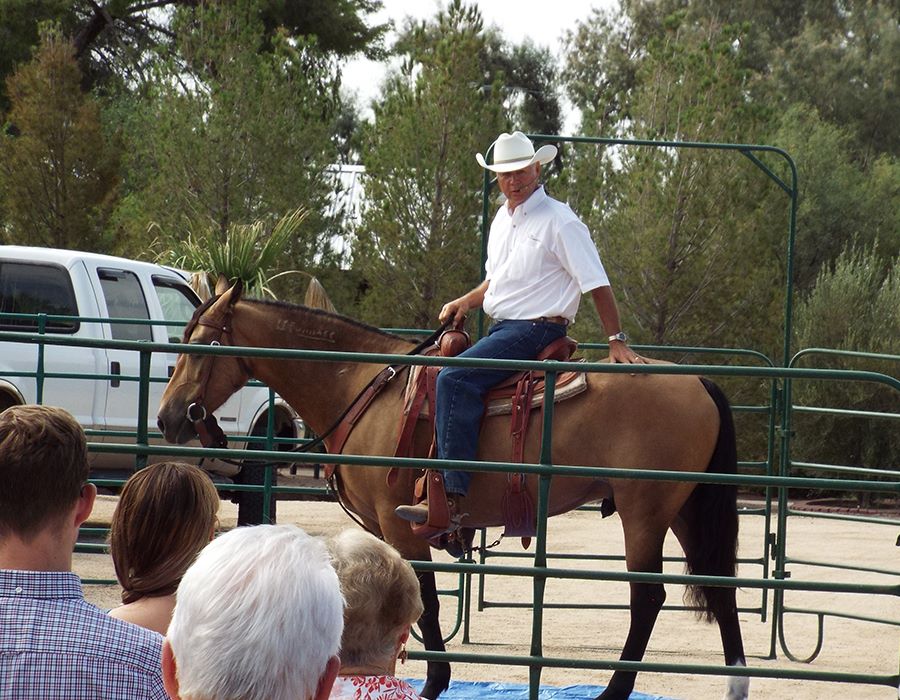 Training Wild Horses -- and Inmates