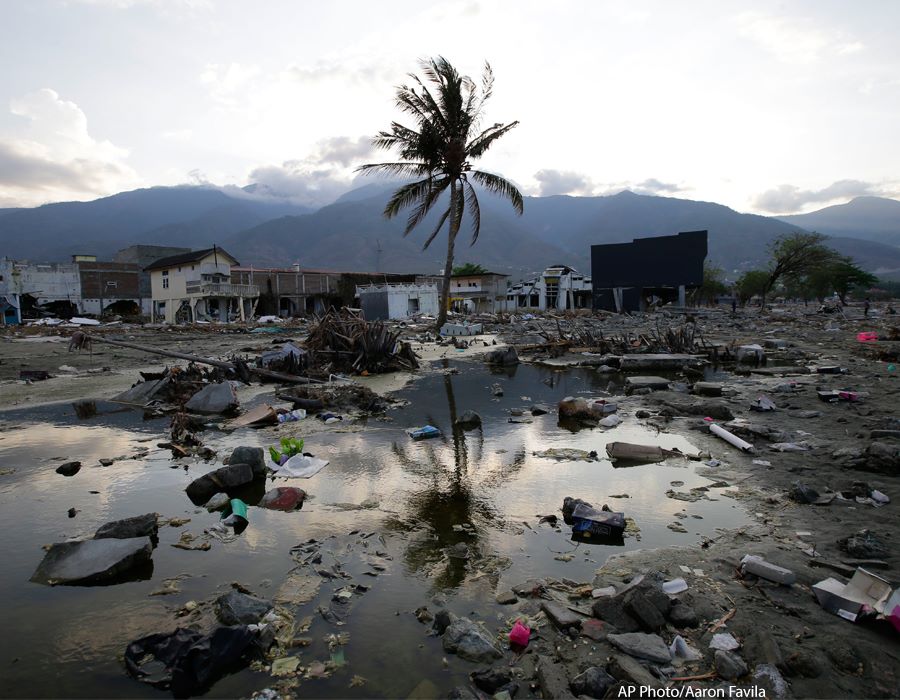Rapid Response to a Triple Disaster