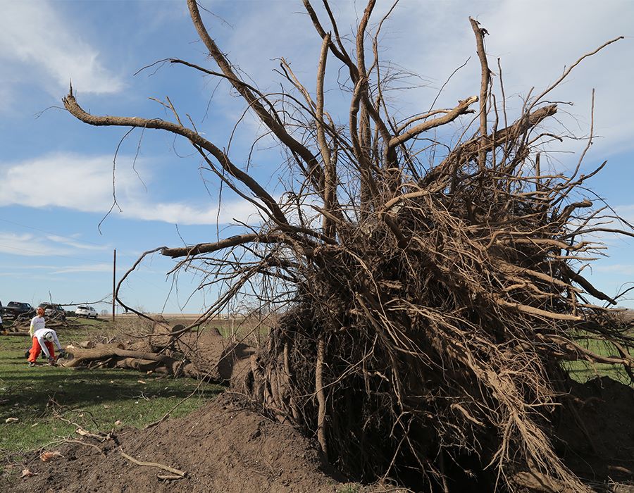 AG Congregation at Forefront of Tornado Relief