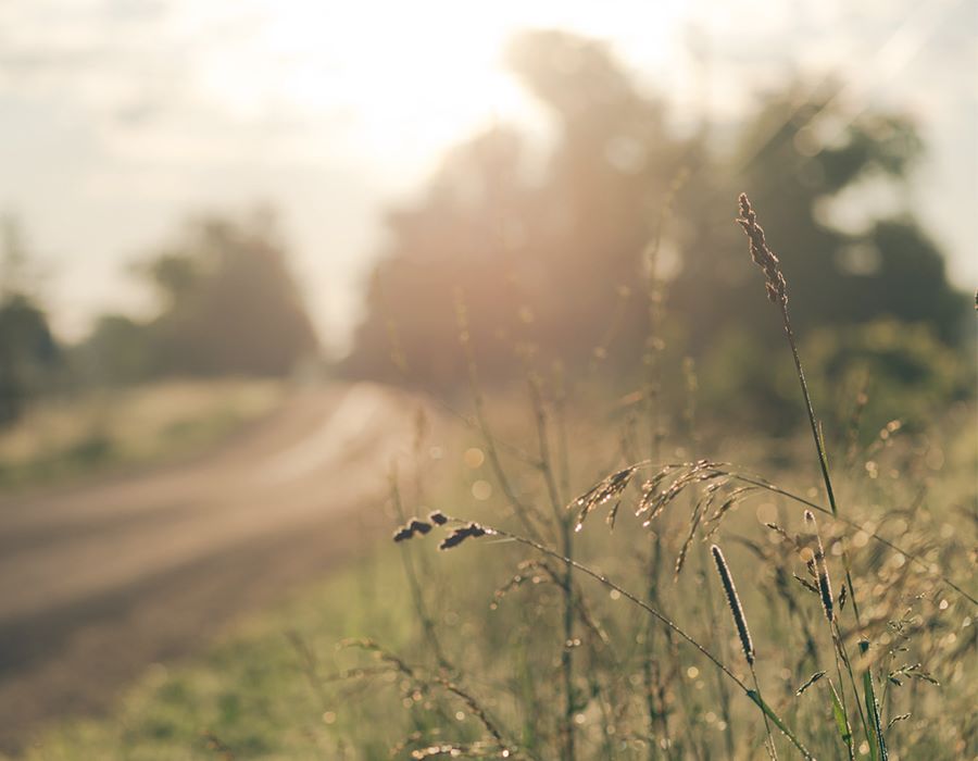 Rural Church Builds Bridges to Community