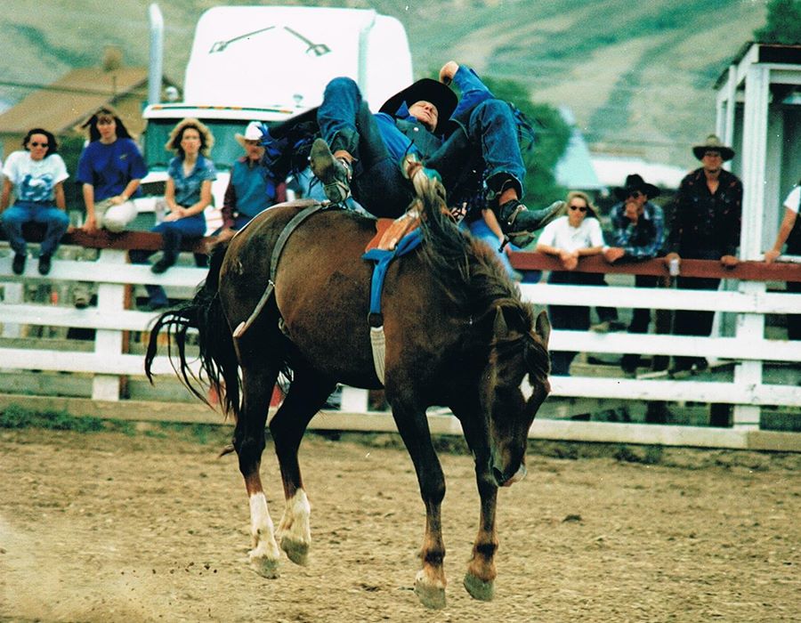 Horses and the Gospel