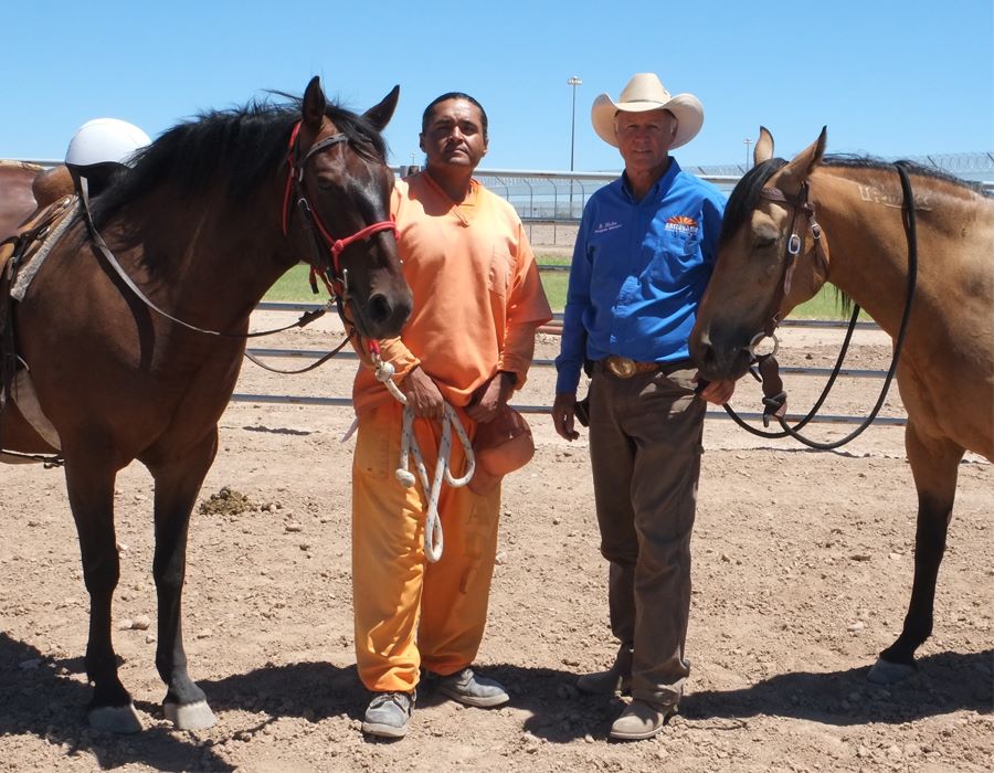 Four-Legged Lessons