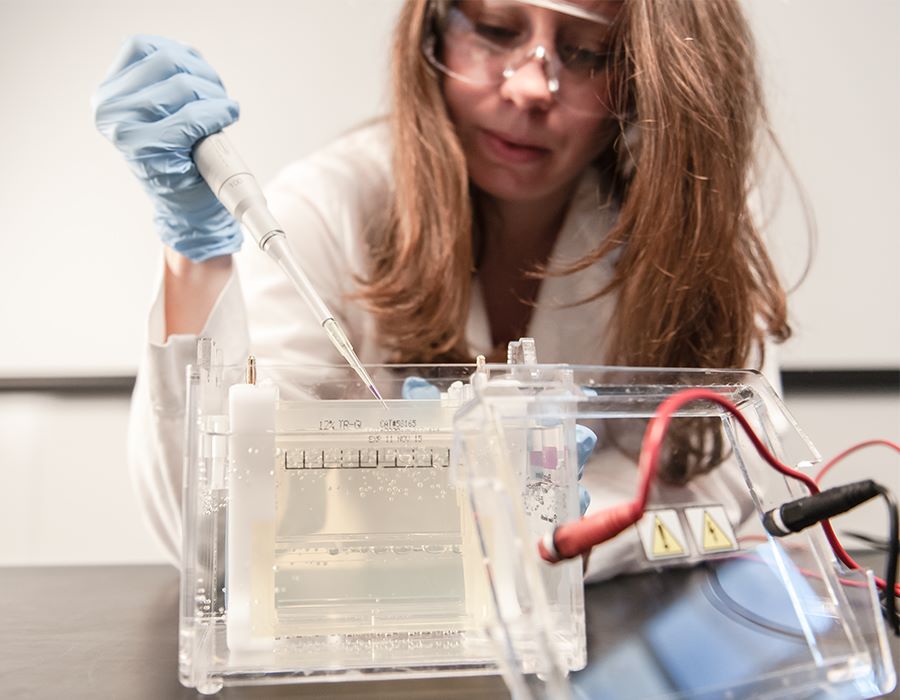Neuroscience Collaboration
