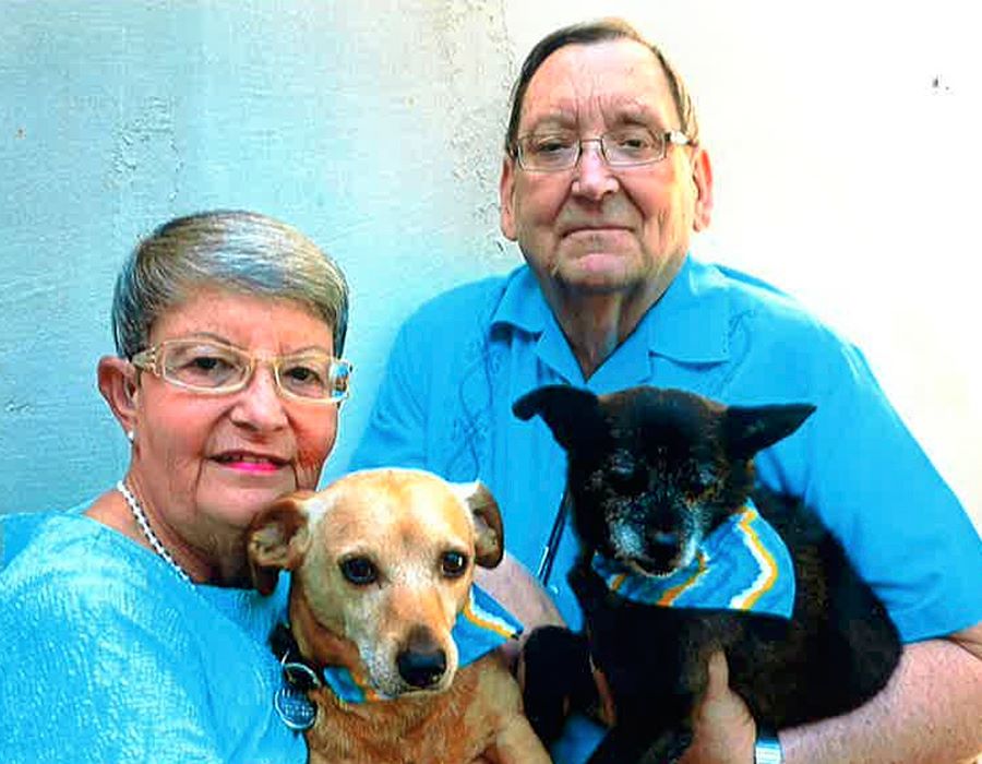 Pooches to the Rescue