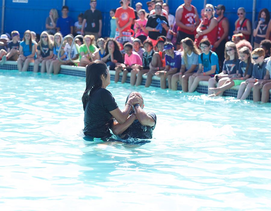 The Value of Camp