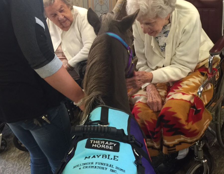 A Little Horsing Around Brings Smiles to Seniors