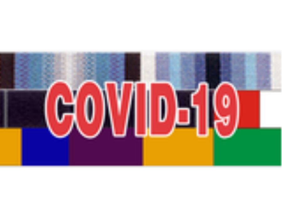 Adult & Junior Leader Awards: COVID-19 Response