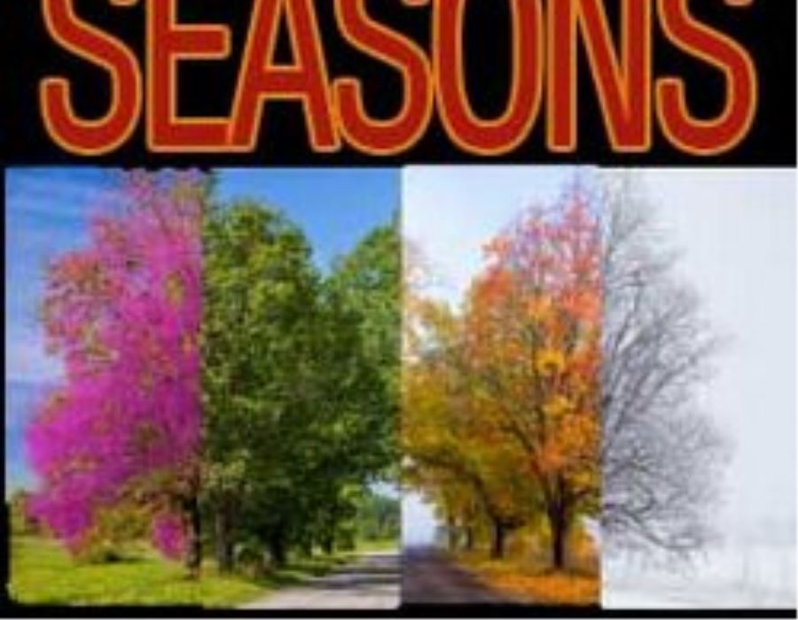 Seasons