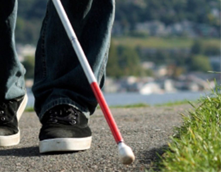 Resourcing the Blind Community