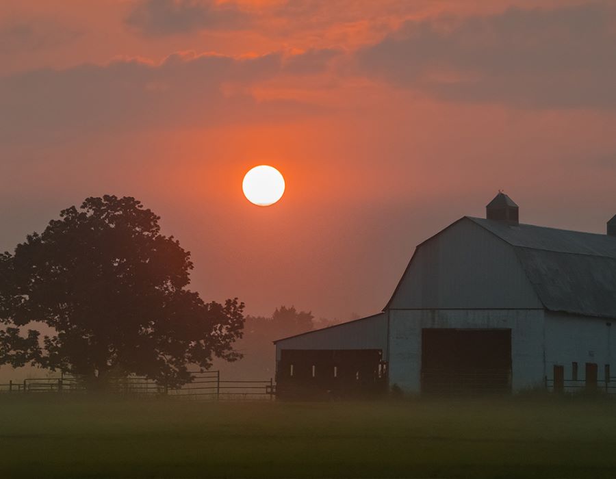 Rattling Dry Bones in Rural America