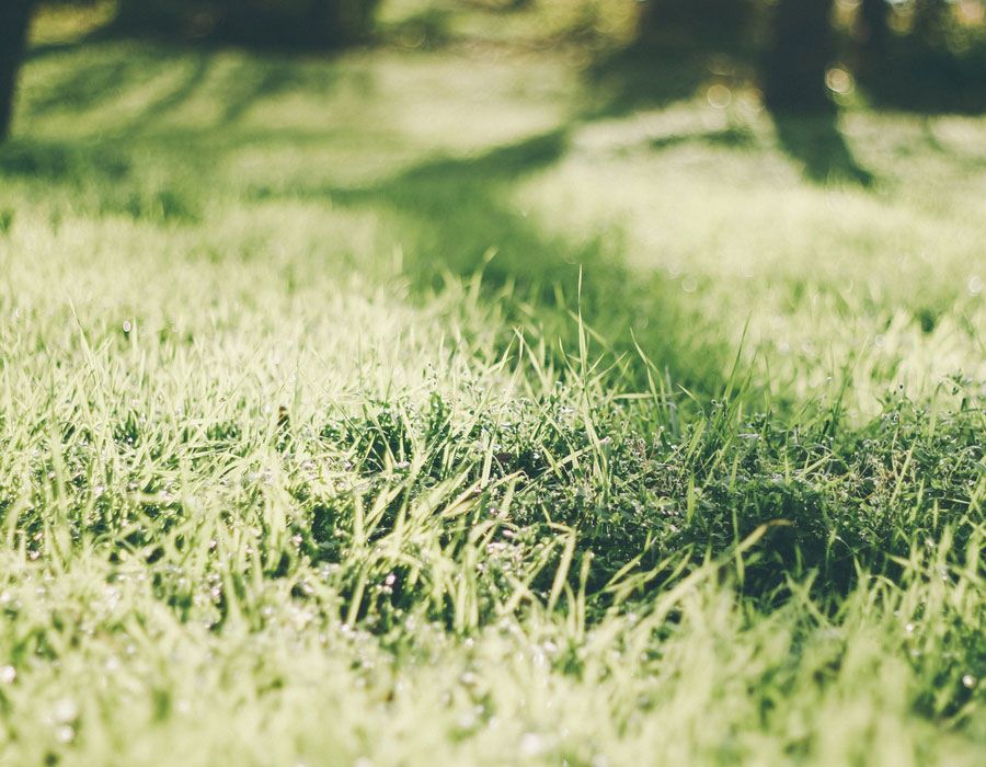 The Religious Roots of Groundhog Day