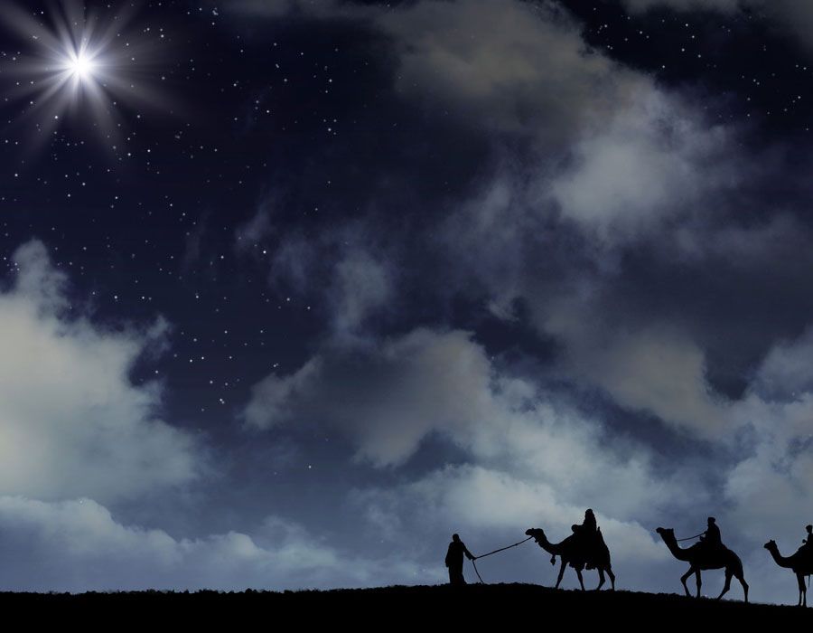 A Gift for Jesus: Frankincense