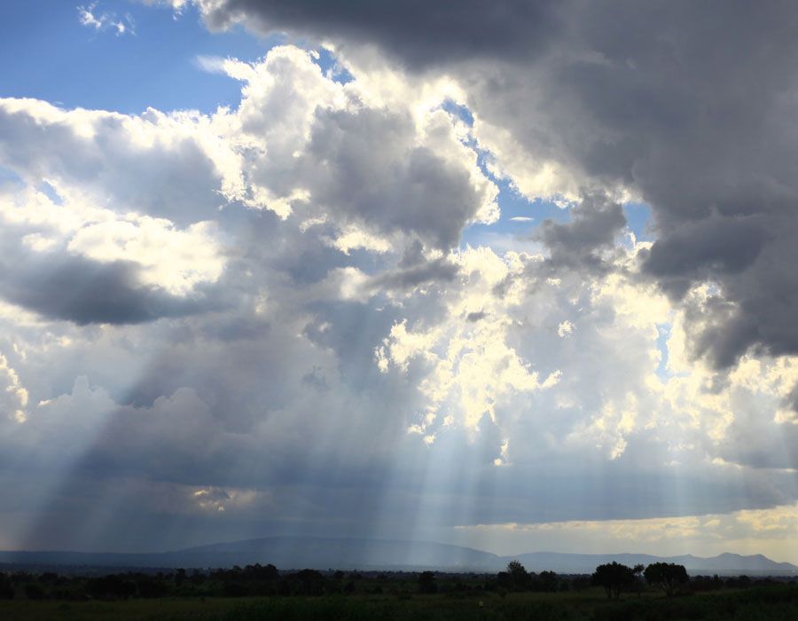 Malarkey Says Heaven Story Was Made-Up