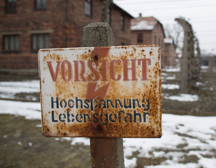 Auschwitz Survivor Adopts Grandson of Guard