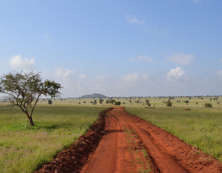 Text Messaging Project Helps Ease Religious and Tribal Tensions in Kenya