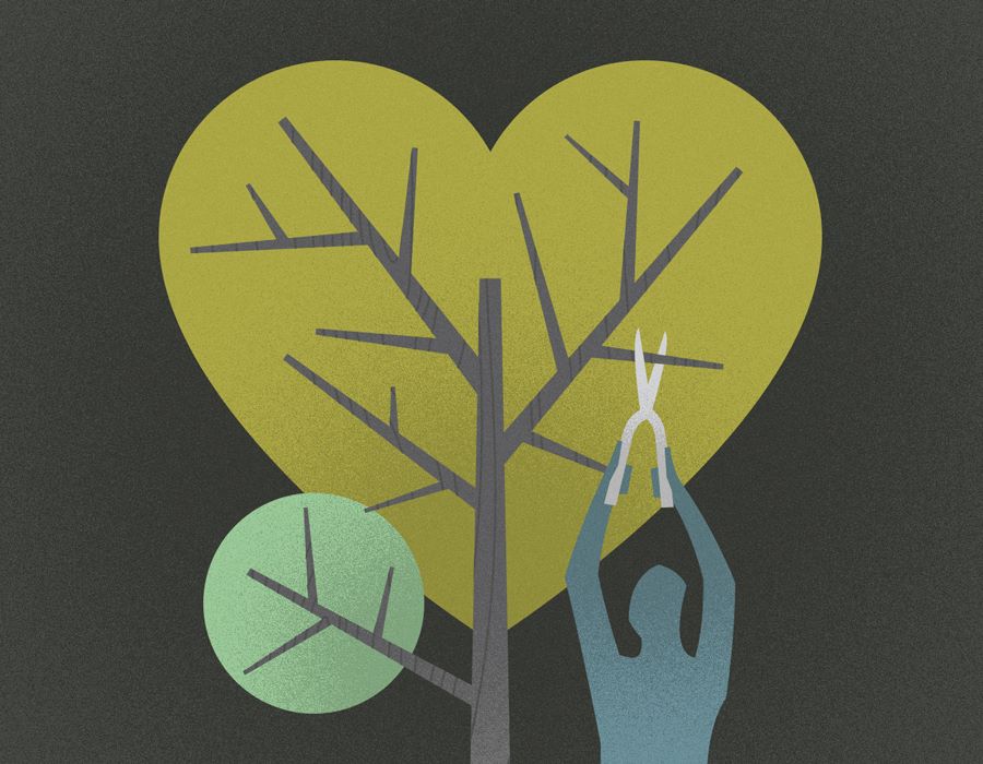 How to Thrive in Midlife