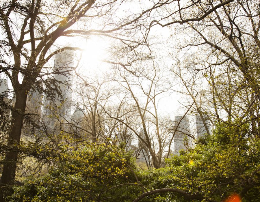 God in Central Park