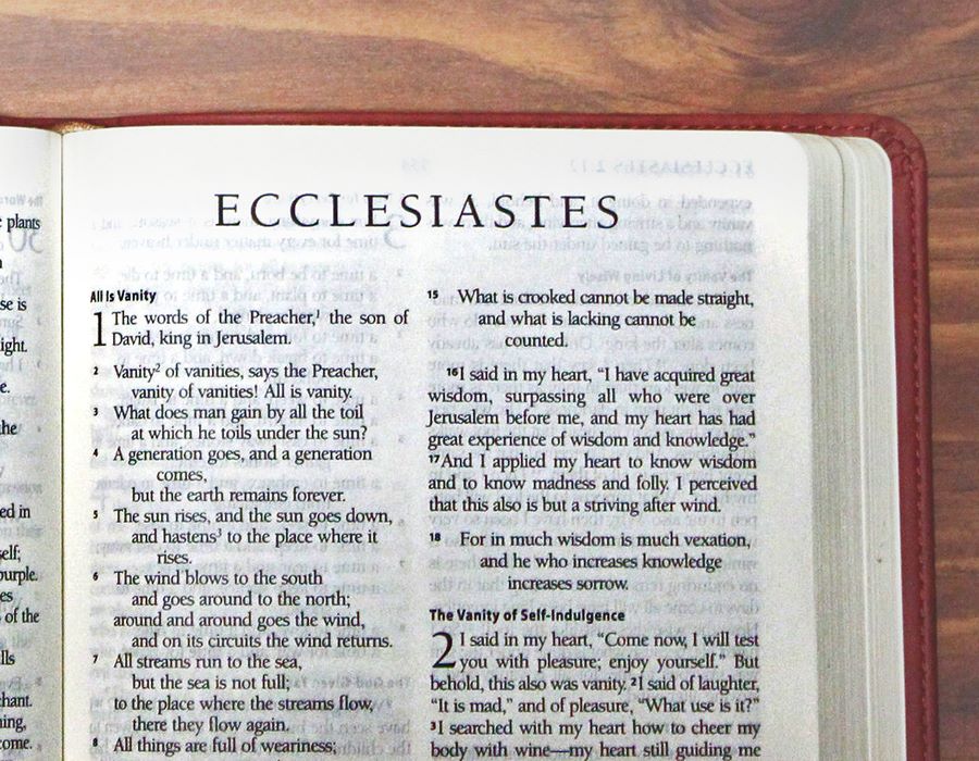 The Abundance Mentality (Ecclesiastes 11:1-6)