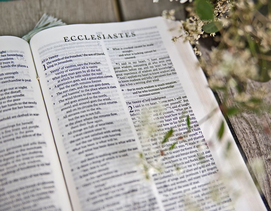 Because God Is Holy (Leviticus, Chapters 11-13)