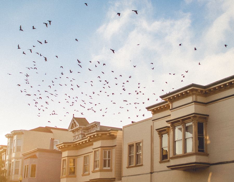 The Best Places to Live For Health, Fitness and Aging Well