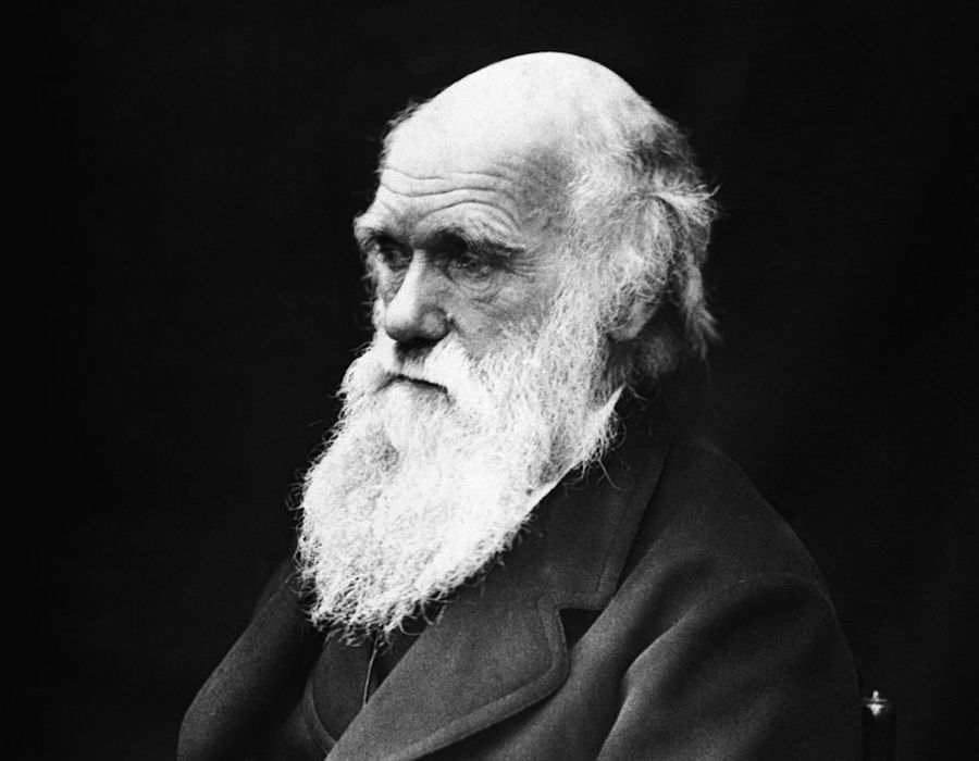 Recently Found Letter Confirms Darwin Didn’t Believe in the Bible