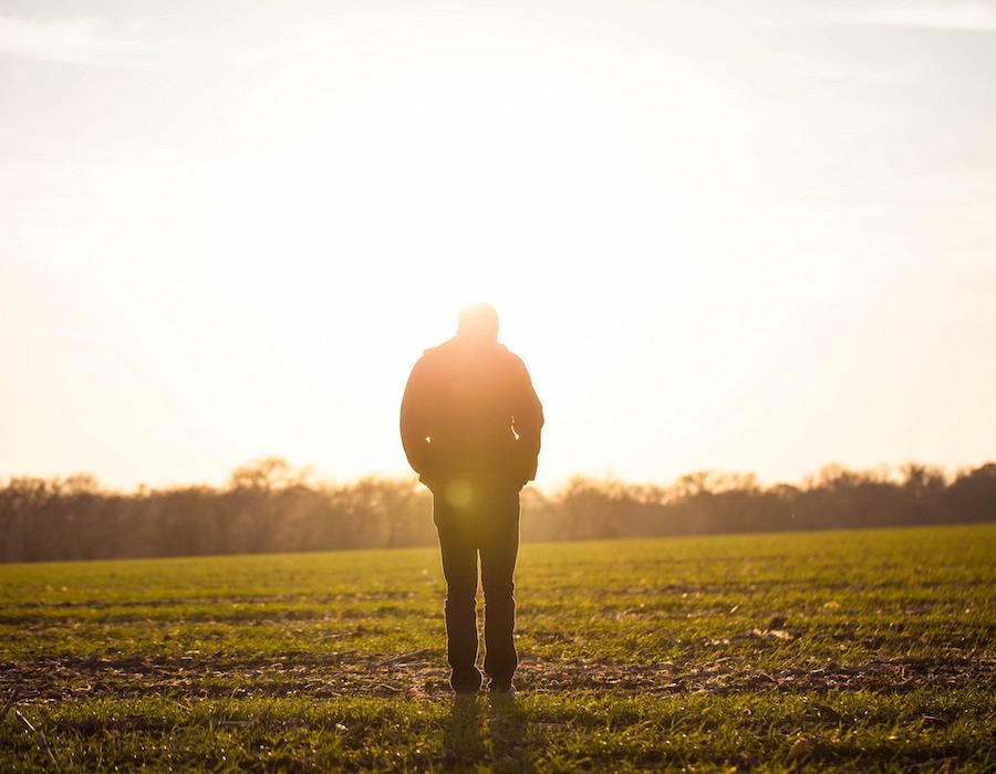 What Solomon Can Teach Us About Failure