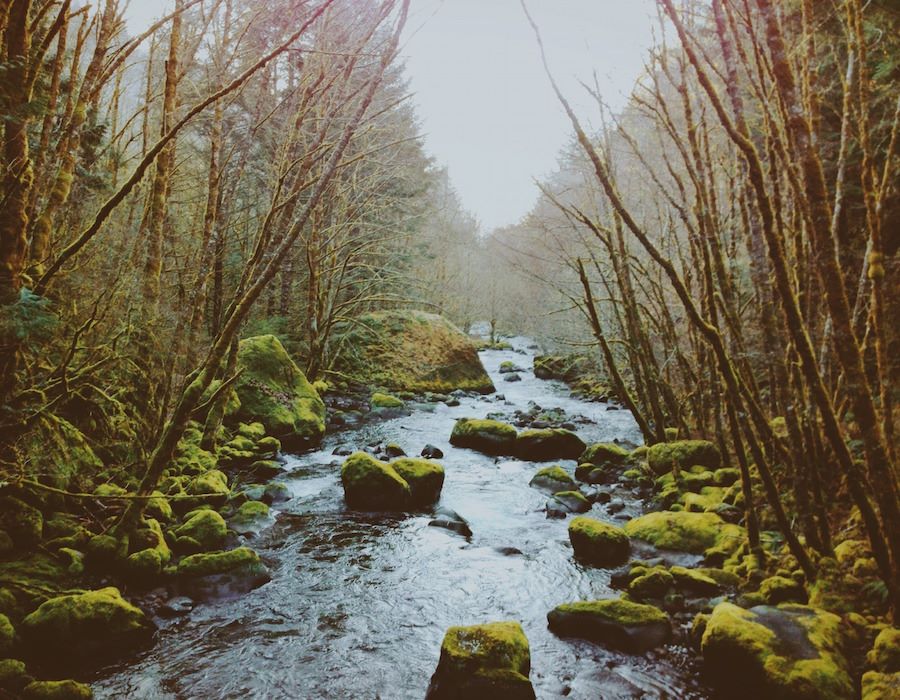 The Importance of Being Outside