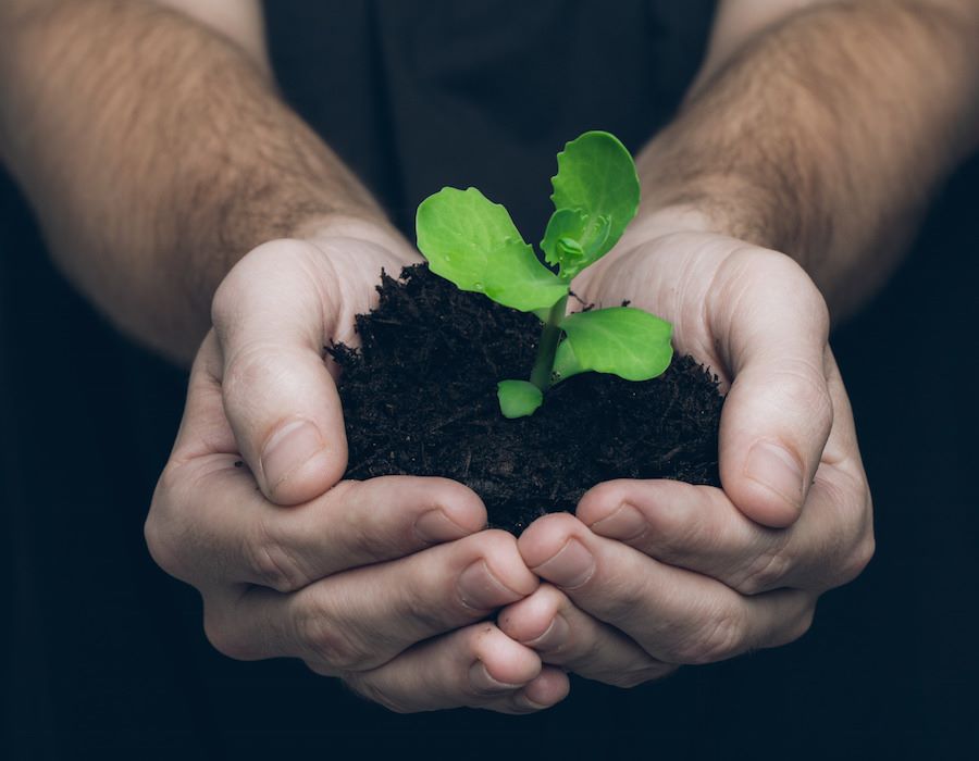 Planting a Seed on Earth Day