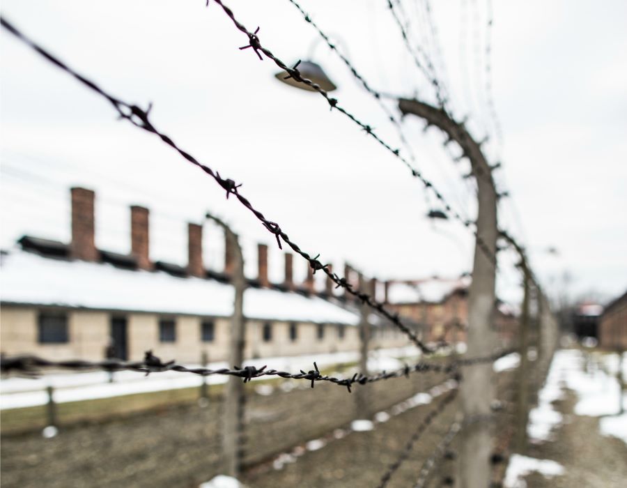 Commemorating International Holocaust Remembrance Day