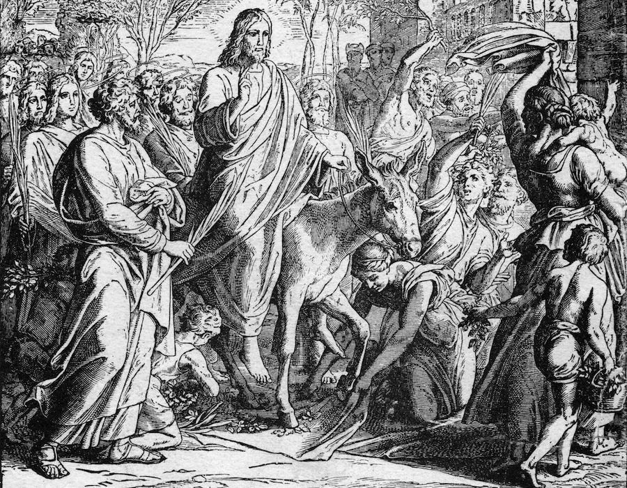 Palm Sunday: Behold, Your King Comes!