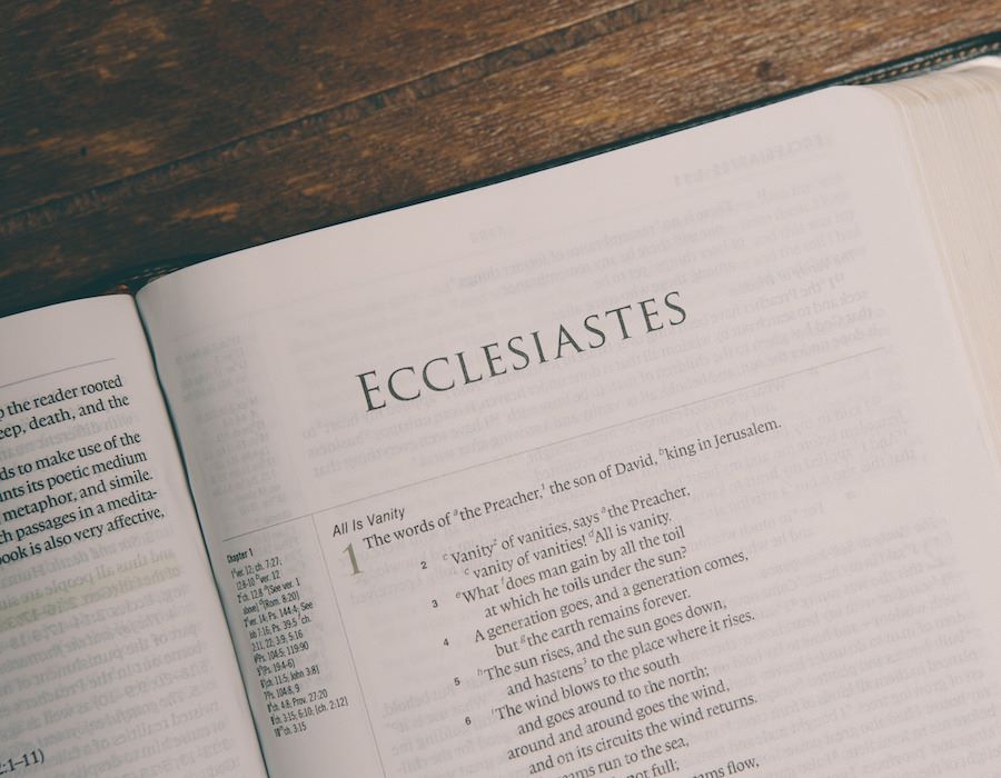No Duh! (Ecclesiastes 10:8-15)