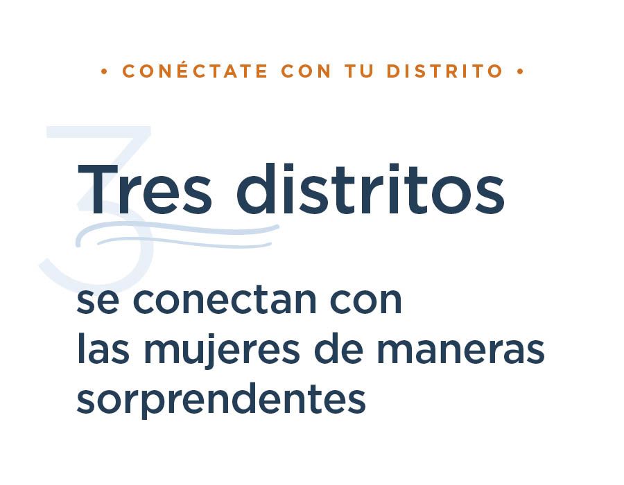 <p class="p1"><span class="s1"><strong><span>Tres distritos </span></strong></span></p>