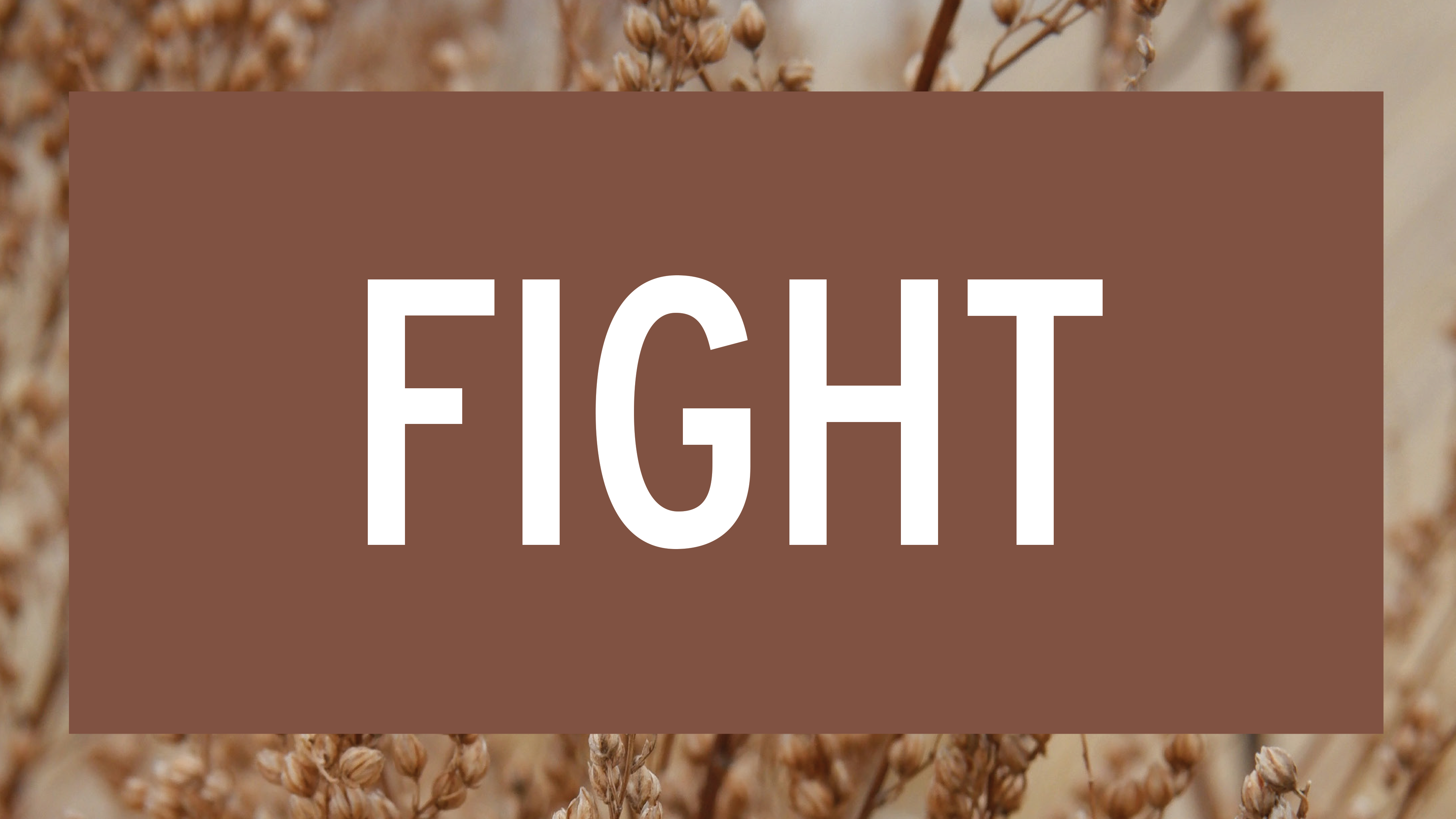 Fight